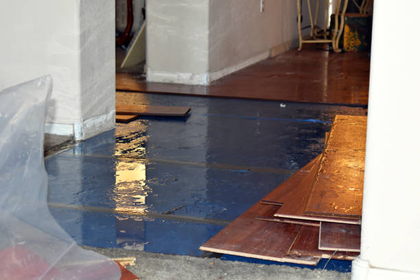 Professional Basement Flooding technician working in Posey, CA
